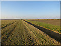 TL2291 : Northern Loop, Great Fen by Hugh Venables