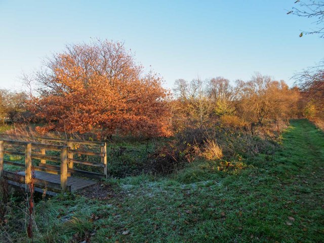 Bishop's Walk