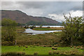 NY2618 : Mouth of the River Derwent by Ian Capper