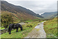 NY2218 : Newlands Valley by Ian Capper