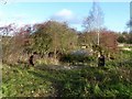 SK4451 : Remains of bridge over the Cromford Canal by Alan Murray-Rust