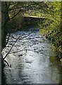 SK4452 : River Erewash at Pye Bridge by Alan Murray-Rust