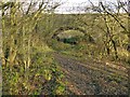 SK4453 : Pinxton Canal Footpath by Alan Murray-Rust