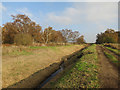 TL2188 : Track to Holme Fen by Hugh Venables