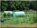 NS3421 : Allotments at Craigie Park by Thomas Nugent