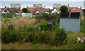 NS3421 : Allotments at Craigie Park by Thomas Nugent