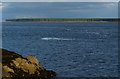 NO4630 : Firth of Tay at Broughty Ferry by Mat Fascione