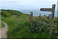 TA0685 : Cleveland Way at Cayton Cliff by Mat Fascione