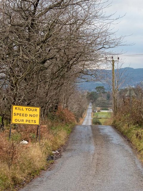 Minor road near Ord Muir