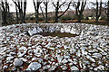 NH7544 : Ring Cairn, Clava Cairns by Julian Paren