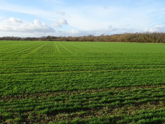 Arable field near Little Comberton