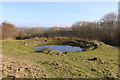 TQ5802 : Midday Christmas 2018 view of the dew pond by Butts Lane by Adrian Diack