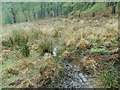 SE0531 : Ogden Water: boggy patch in Skirden Clough by Stephen Craven