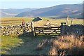 NT3132 : Field gates on Southern Upland Way by Jim Barton