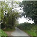 SX0662 : A Cornish hedge at the entrance to Penburthen Farm by David Smith