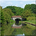 SJ8414 : Canal at Shushions Bridge near Marston in Staffordshire by Roger  D Kidd