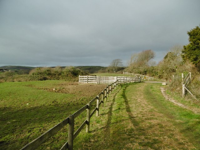 Corfe Common, stock pens