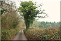 SX8874 : Humber Lane by Derek Harper