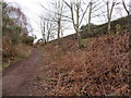 SJ2484 : Footpath in Thurstaston Common and boundary stone #7 by John S Turner