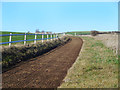 SU3678 : Racehorse Gallop, East Garston by Des Blenkinsopp