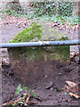 SJ2485 : National Trust boundary stone (1) on Thurstaston Common by John S Turner