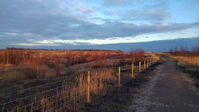 Coal Tips trail, RSPB Fairburn Ings Nature Reserve