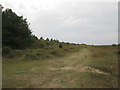 TF8645 : End  of  the  pine  wood  heading  over  the  dunes by Martin Dawes