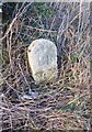 SX6593 : Old Boundary Marker by the former A30, east of Ramsley by Alan Rosevear