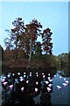 TQ1876 : View of Aether & Hemera's 'Voyage' - a flotilla installation at the Royal Botanic Gardens, Kew by J W