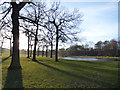 SE3028 : Trees near Middleton Park lake by Stephen Craven