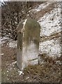  : Old Milestone by the A34, near Tidbury Ring, Bullington Parish by K Lawrence