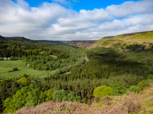 Newtondale & Levisham Moor