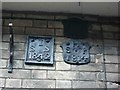 TG2308 : Old Boundary Markers on the wall of No. 28 Elm Hill by C Haines