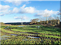 NZ1760 : Waterlogged field near to Low Thornley by Trevor Littlewood