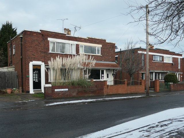 Pampas grass in a Stanley Road front garden, Doncaster