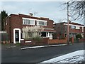 SE5405 : Pampas grass in a Stanley Road front garden, Doncaster by Christine Johnstone