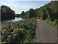 ST6273 : Kennet & Avon Canal Walk by Shaun Ferguson