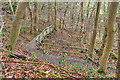 NZ5712 : Permissive Footpath, Newton Wood by Mick Garratt