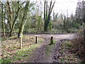 TQ2352 : Public bridleway at Mogador, near Reigate by Malc McDonald