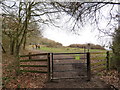 TQ2452 : North Downs Way at Colley Hill, near Reigate by Malc McDonald