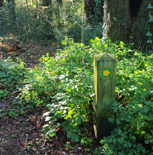 Waymark, Chapel Hill Pleasure Grounds