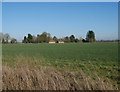 TF8905 : View from Ashill Common boundary by David Pashley