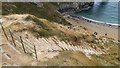 SY8080 : Old steps down to the beach at Durdle Door by Phil Champion