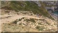 SY8080 : New steps to the beach at Durdle Door by Phil Champion