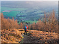 SE5490 : Descending from Hawnby Hill by Trevor Littlewood