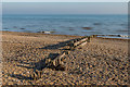 TQ6604 : Groyne by Ian Capper