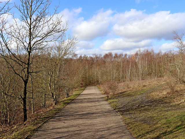 Pathway in the Country Park near Alveley, Shropshire