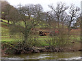 SO7583 : Pasture and woodland east of Highley in Shropshire by Roger  D Kidd