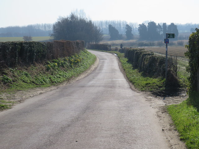 Buckland Road, near Cliffe