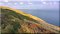 SZ0076 : Coast path near Blackers Hole, Isle of Purbeck by Phil Champion